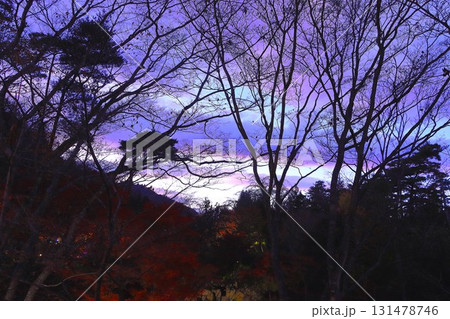 夕焼け空と木立のシルエット 131478746