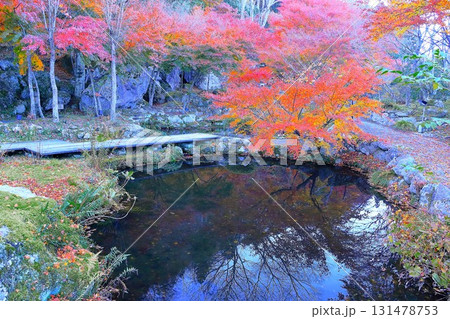 水辺の鮮やかな紅葉 水辺の鮮やかな紅葉 131478753