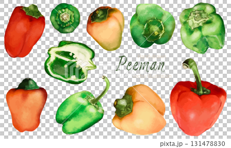 Colorful watercolor illustration of bell peppers 131478830