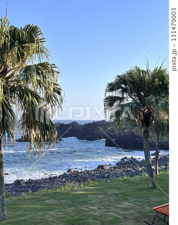 海に浮かぶリゾートのビーチ 海に浮かぶリゾートのビーチ 131479003