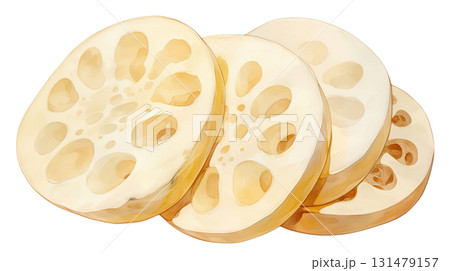 透明背景（png）に輪切りにした蓮根の水彩イラスト 131479157