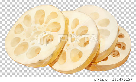 透明背景（png）に輪切りにした蓮根の水彩イラスト 131479157