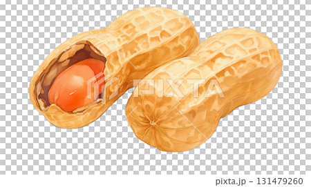 Watercolor illustration of shelled peanuts on a transparent background (png) 131479260