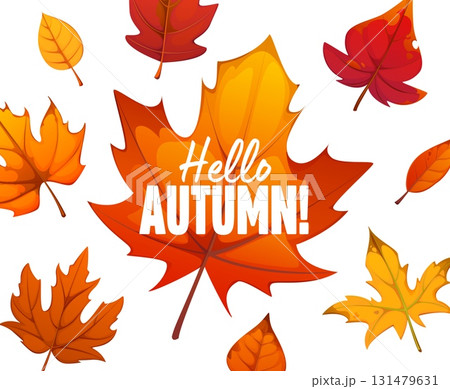 Hello autumn fall leaves banner for autumn holiday or Thanksgiving Day, vector poster. Hello autumn greeting with maple leaf or fall foliage pattern background for harvest season or Thanksgiving Hello autumn fall leaves banner for autumn holiday or Thanksgiving Day, vector poster. Hello autumn greeting with maple leaf or fall foliage pattern background for harvest season or Thanksgiving 131479631