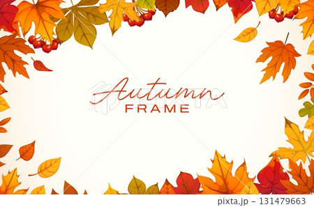 Autumn frame with falling leaves for Thanksgiving Day or autumn holiday, vector poster. Maple leaf or birch and elm leaves frame with rowan berry for fall harvest season or Thanksgiving holiday 131479663