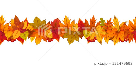 Autumn fall leaves border for seasonal holiday or Thanksgiving Day greetings, vector poster. Autumn leaves border or frame with with maple, oak, and ash tree or elm foliage and rowanberry harvest Autumn fall leaves border for seasonal holiday or Thanksgiving Day greetings, vector poster. Autumn leaves border or frame with with maple, oak, and ash tree or elm foliage and rowanberry harvest 131479692