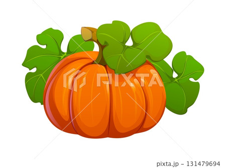 Cartoon autumn pumpkin, fall season plant with lush green leaves. Isolated vector ripe gourd plant with the foliage, symbol of the autumnal harvest, Thanksgiving or Halloween. Vibrant orange pumpkin Cartoon autumn pumpkin, fall season plant with lush green leaves. Isolated vector ripe gourd plant with the foliage, symbol of the autumnal harvest, Thanksgiving or Halloween. Vibrant orange pumpkin 131479694