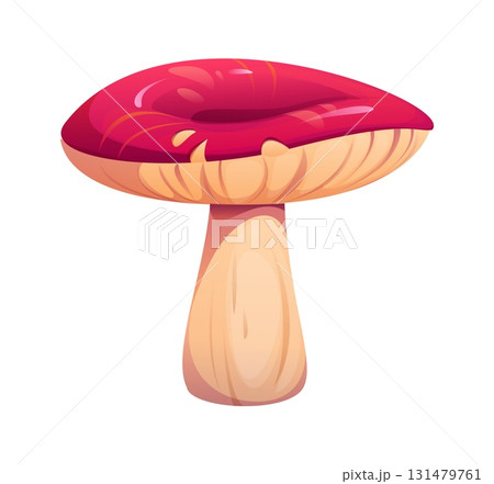 Cartoon autumn fall season russule mushroom with a wide, flat red cap. Isolated vector ripe and raw forest fungus. Wild plant, natural ingredient, mycology species, forest vegetation Cartoon autumn fall season russule mushroom with a wide, flat red cap. Isolated vector ripe and raw forest fungus. Wild plant, natural ingredient, mycology species, forest vegetation 131479761