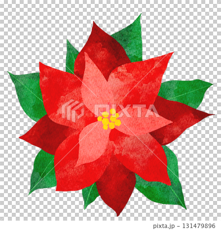 Watercolor illustration of a poinsettia 131479896