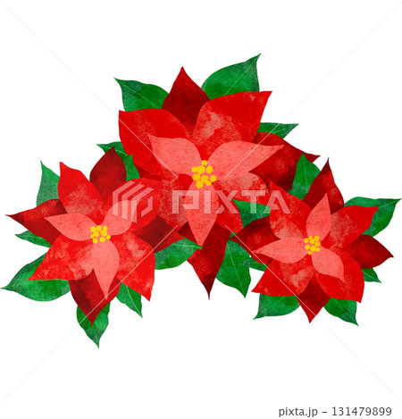 水彩風に描いたポインセチアのイラスト 131479899