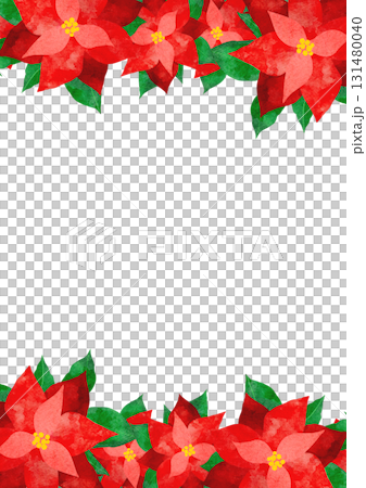 一品紅的水彩插圖 131480040