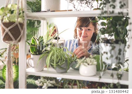 A young woman enjoys caring for flowers. Watering indoor plants and admiring them. A young woman enjoys caring for flowers. Watering indoor plants and admiring them. 131480442