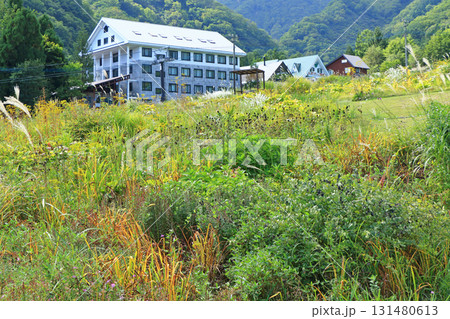 白馬五竜スキー場 秋のエスカルガーデン 白馬五竜スキー場 秋のエスカルガーデン 131480613