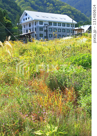 白馬五竜スキー場　秋のエスカルガーデン 131480614