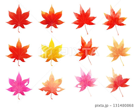 水彩で描いた紅葉のイラスト 131480868
