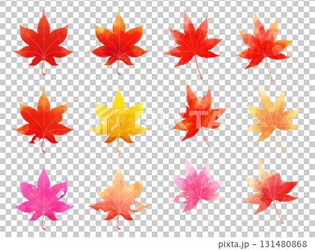 Illustration of autumn leaves painted in watercolor Illustration of autumn leaves painted in watercolor 131480868