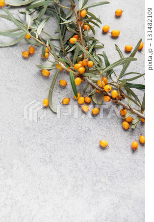 Sea buckthorn berry branch with copy space Sea buckthorn berry branch with copy space 131482109