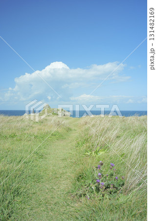 秋晴れの尻屋埼の風景　青森県東通村　9月末 131482169
