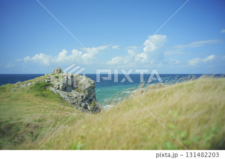 秋晴れの尻屋埼の風景 青森県東通村 9月末 秋晴れの尻屋埼の風景 青森県東通村 9月末 131482203