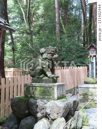 伊勢国一宮 猿田彦大本宮 椿大神社、伊勢国鈴鹿山系の中央麓に鎮座する二千年の歴史を持つ神社、狛犬 伊勢国一宮 猿田彦大本宮 椿大神社、伊勢国鈴鹿山系の中央麓に鎮座する二千年の歴史を持つ神社、狛犬 131482444