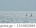 セーリング　相模湾 131482884