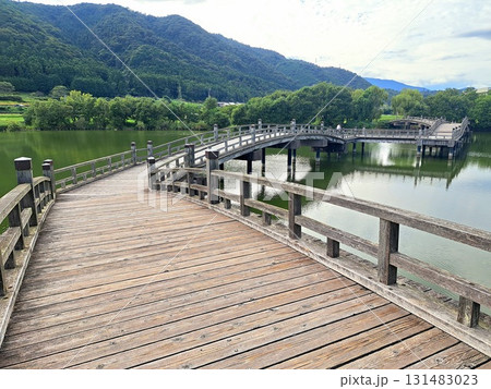 近江高島の乙女ヶ池 131483023