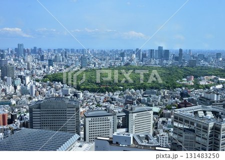 都庁の展望台から見た景色 131483250