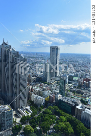 都庁の展望台から見た景色 131483252