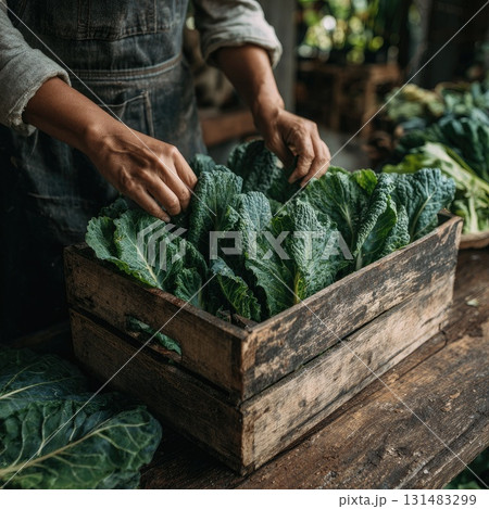 African American woman arranging fresh green cabbage in a rustic wooden crate for market display African American woman arranging fresh green cabbage in a rustic wooden crate for market display 131483299