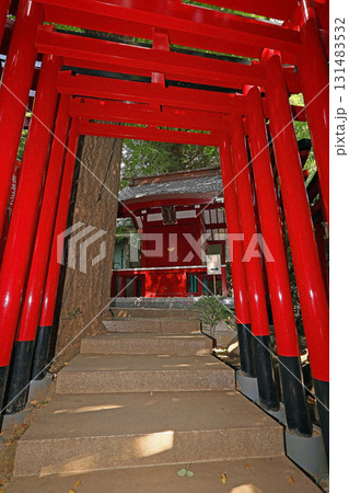 乃木神社（港） 131483532