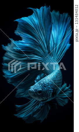 Blue betta fish with flowing fins, elegant aquatic animal in motion, dramatic lighting, graceful underwater beauty Blue betta fish with flowing fins, elegant aquatic animal in motion, dramatic lighting, graceful underwater beauty 131484012
