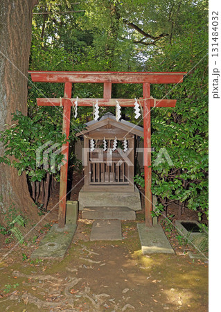 赤坂氷川神社(港) 赤坂氷川神社(港) 131484032