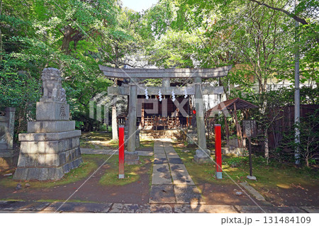 赤坂氷川神社（港） 131484109