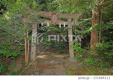赤坂氷川神社（港） 131484111