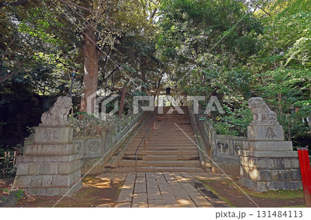 赤坂氷川神社(港) 赤坂氷川神社(港) 131484113