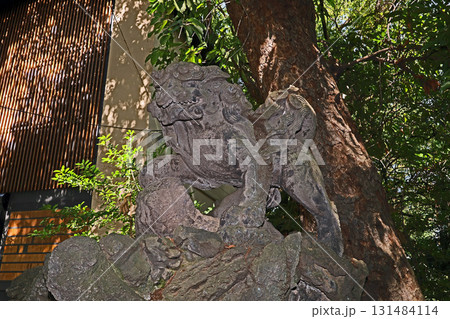 赤坂氷川神社（港） 131484114