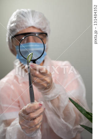 Researcher Examines Aloe Plant Leaf Using Magnifying Glass in Laboratory Setting Researcher Examines Aloe Plant Leaf Using Magnifying Glass in Laboratory Setting 131484352