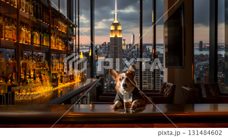 夜景の見えるビルコーギー 131484602