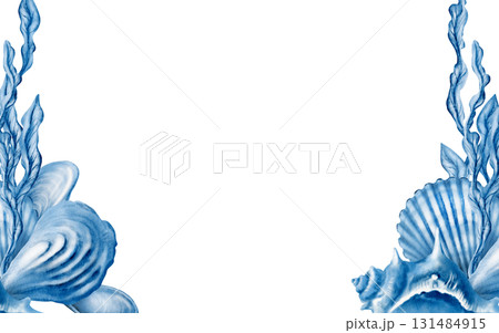Marine seashells template:twisted spiky seashell,oyster,mussel,ribbed cemicircular seashell,stylized laminaria blue monochrome colors.Hand-drawn watecolor illustration isolated on white 131484915