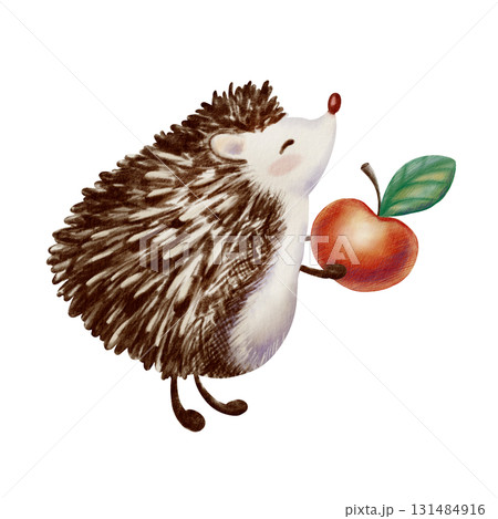 Fluffy hedgehog standing on its hind legs,reaching for something with its front paws.Forest character design in a cartoonish children's style,created with mixed media of watercolor and colored pencils 131484916