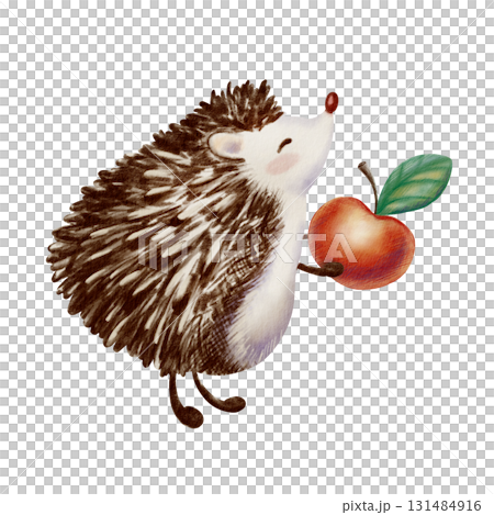 Fluffy hedgehog standing on its hind legs,reaching for something with its front paws.Forest character design in a cartoonish children's style,created with mixed media of watercolor and colored pencils 131484916