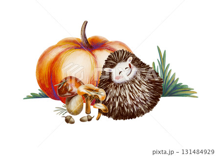 Funny long-eared hedgehog curled up in a ball,pumpkin,mushrooms,grass.Hand-drawn forest character illustration in watercolor and colored pencils,created in a childlike cartoon style Funny long-eared hedgehog curled up in a ball,pumpkin,mushrooms,grass.Hand-drawn forest character illustration in watercolor and colored pencils,created in a childlike cartoon style 131484929