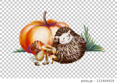 Funny long-eared hedgehog curled up in a ball,pumpkin,mushrooms,grass.Hand-drawn forest character illustration in watercolor and colored pencils,created in a childlike cartoon style Funny long-eared hedgehog curled up in a ball,pumpkin,mushrooms,grass.Hand-drawn forest character illustration in watercolor and colored pencils,created in a childlike cartoon style 131484929