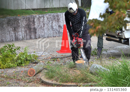 公園の樹木管理 伐採後の切り株の面取り作業 公園の樹木管理 伐採後の切り株の面取り作業 131485360