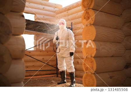 Disinsection of a wooden house Disinsection of a wooden house 131485508