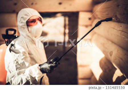 Disinsection of a wooden house Disinsection of a wooden house 131485530
