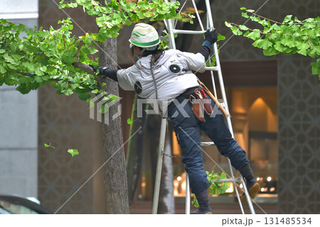 街路樹の剪定　植木屋さんの作業風景 131485534