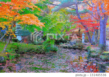 鮮やかな水辺の紅葉 鮮やかな水辺の紅葉 131485536