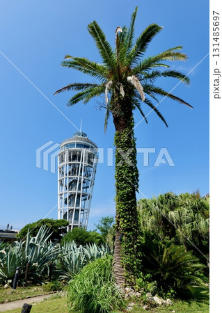 江の島シーキャンドルと公園 131485697