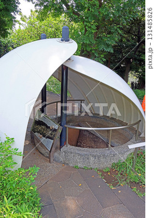 大森貝塚遺跡庭園（品川） 131485826